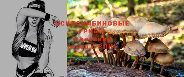 соль ск Вязники