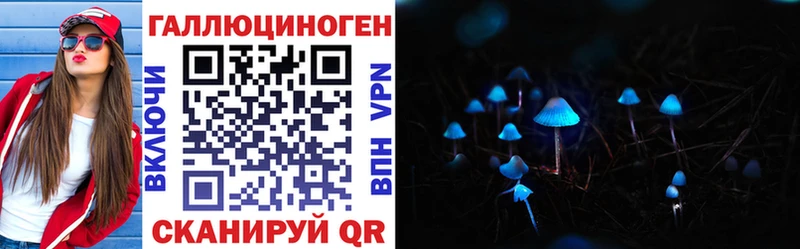 где можно купить   Южно-Сахалинск  Галлюциногенные грибы Psilocybe 